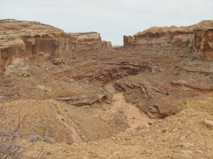 Trail into Horseshoe Canyon Into the canyon