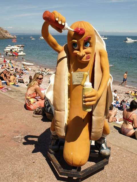 Oddi the Hot DogCCLI by Derek Harper on Geograph