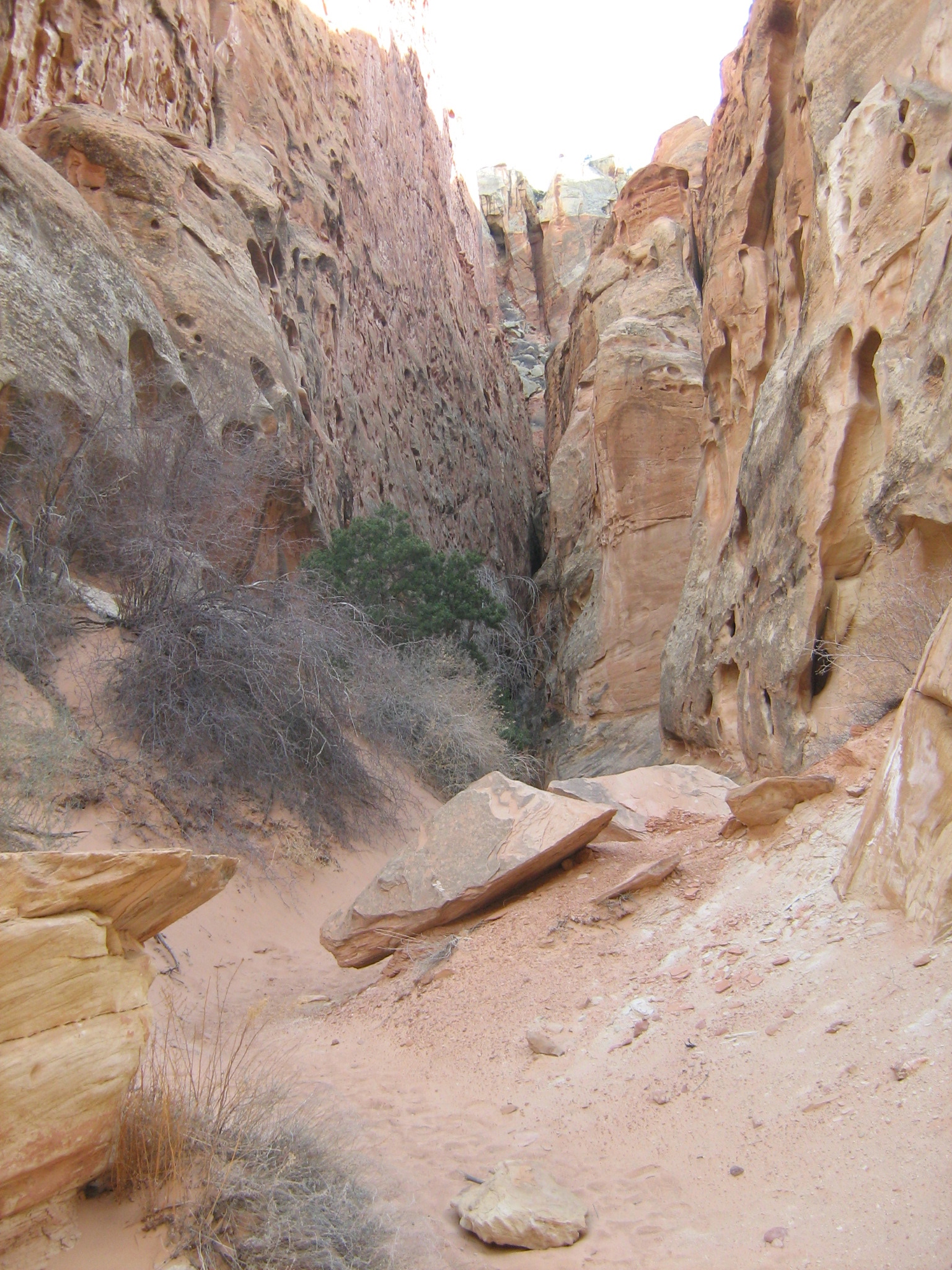 IMG_2777.JPG