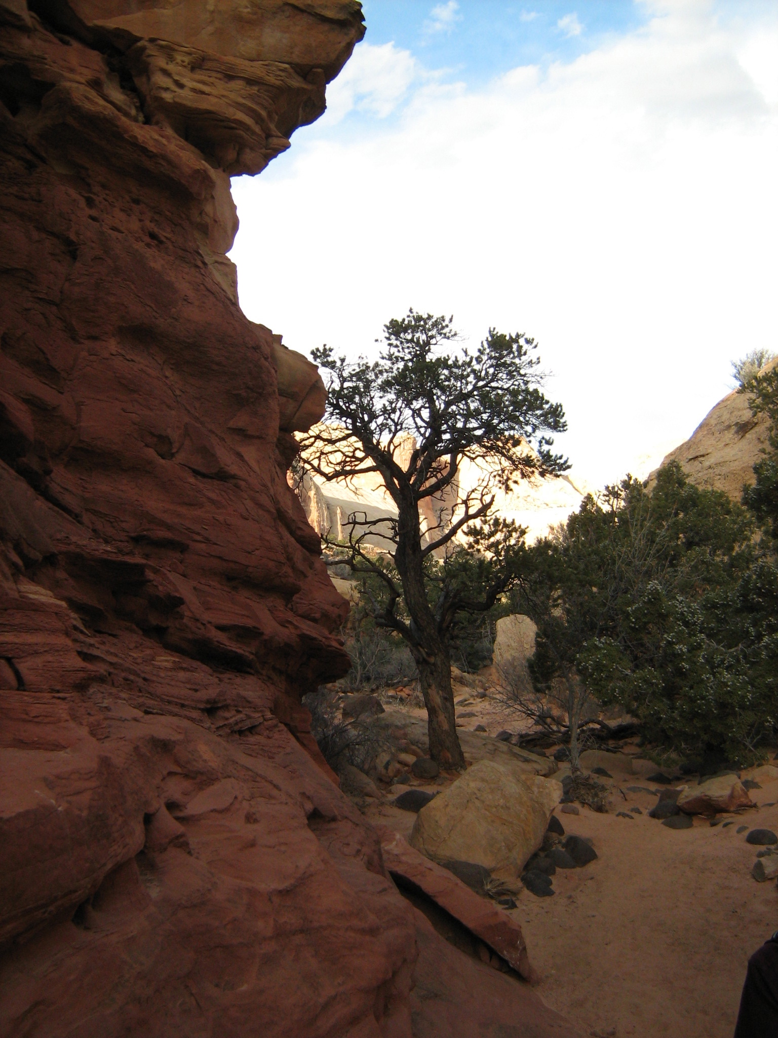 IMG_2785.JPG