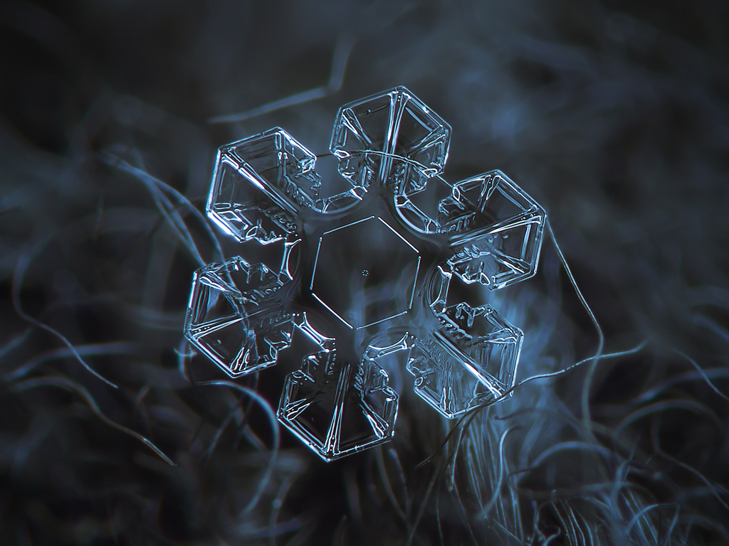 The Core