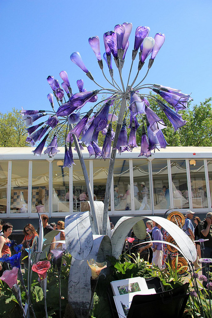 Another view of Agapanthus, which measures 4 meters tall (a little over 13 feet)