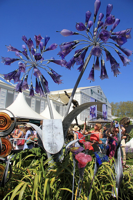 Aganpanthus towers above the crowd at the RHS Chelsea Flower Show
