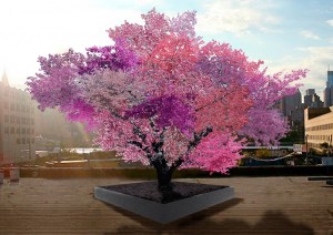 © Sam van Aken, Tree of Forty Fruit used in accordance with Fair Use Policies
