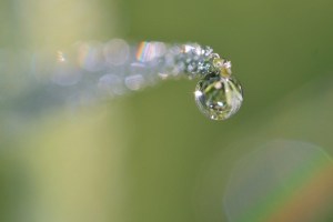 Public Domain Images via Pixabay