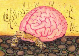Fragile Brain Shield by AllAllucinations with CCLicense