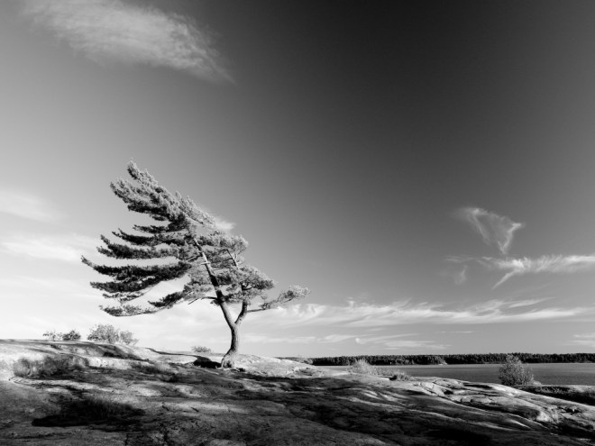 © Robert Swier with CCLicense 