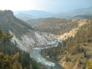 IMG_3561