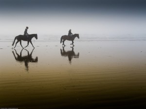 © Mike Baird with CCLicense