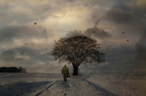 © Hartwig HKD with CCLicense