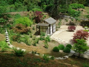 Kingston Lacy Japanese Tea Garden, Dorset, Great Britain © Ray Beer with CCLicense