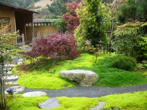 Green Gulch Zen Temple, San Francisco, CA, USA © kafka4prez with CCLicense