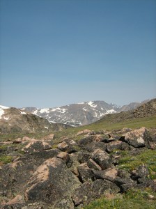 IMG_3495