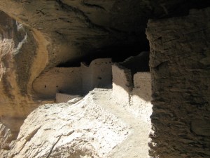IMG_5264