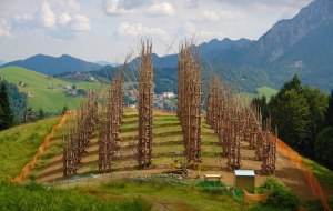 Giuliano-Mauri-cattedrale-vegetale-cathedrale-vegetale-7