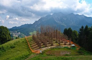 Giuliano-Mauri-cattedrale-vegetale-cathedrale-vegetale-8