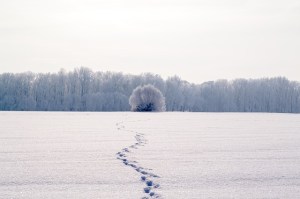 traces-69808_640