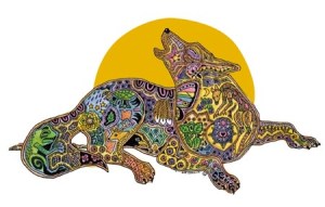 Wolf © Sue Coccia