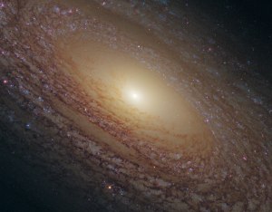 Another spiral galaxy, this one with less defined arms, NGC  2841 is 65 million light years away in Ursa Major.  Credit: NASA, ESA and the Hubble Heritage (STScI/AURA)-ESA/Hubble Collaboration Acknowledgment: M. Crockett and S. Kaviraj (Oxford University, UK), R. O'Connell (University of Virginia), B. Whitmore (STScI) and the WFC3 Scientific Oversight Committee.