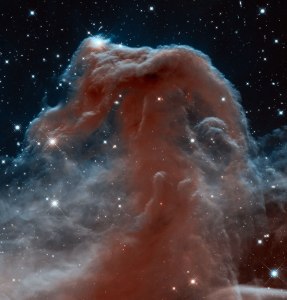 Infrared image of the Horsehead Nebula in Orion. Credit: NASA, ESA, and the Hubble Heritage Team (AURA/STScI)