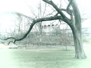 IMG_1409