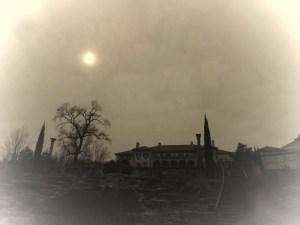 IMG_1476