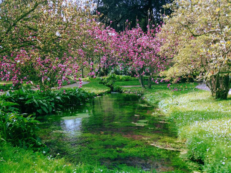 Ninfa_03