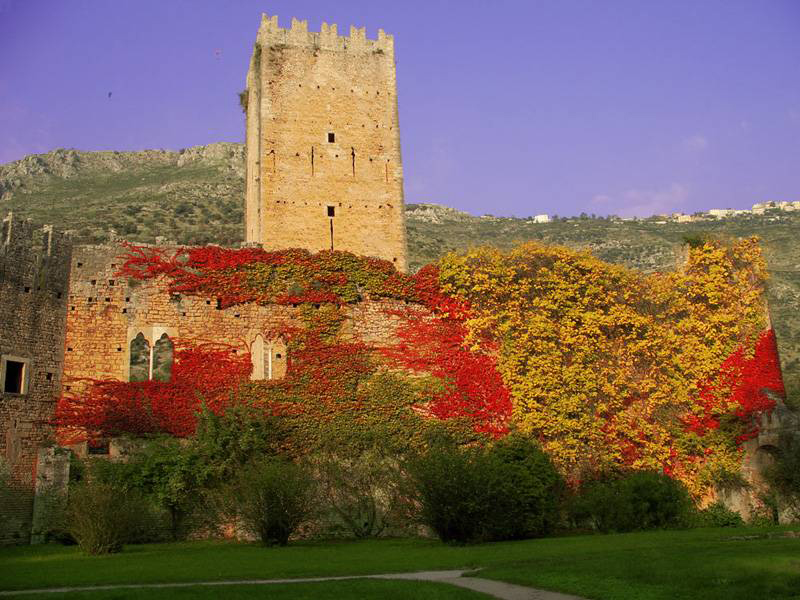 Ninfa_12.jpg