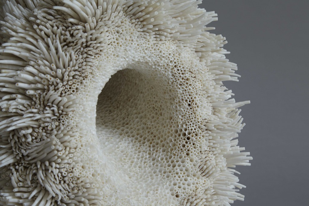 rowan-mersh-pithvava-praegressus-2017-detail-back-1024x683[1]