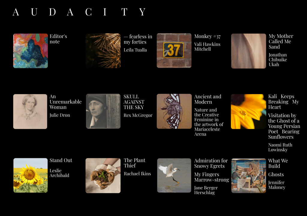 A grid layout featuring various articles and artworks, titled 'AUDACITY' at the top, with each square containing a brief title and the author's name.