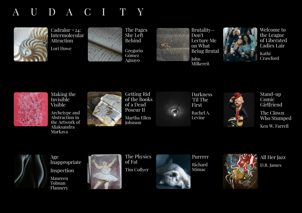 Image featuring a grid of artistic works with titles and authors, including 'Cadrvalor #24: Intermolecular Attraction' by Lori Howe and 'Age Inappropriate Inspection' by Maureen Tolman Flannery.