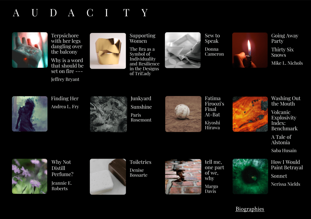A collage of text blocks featuring various titles and authors, organized under the heading 'AUDACITY'.