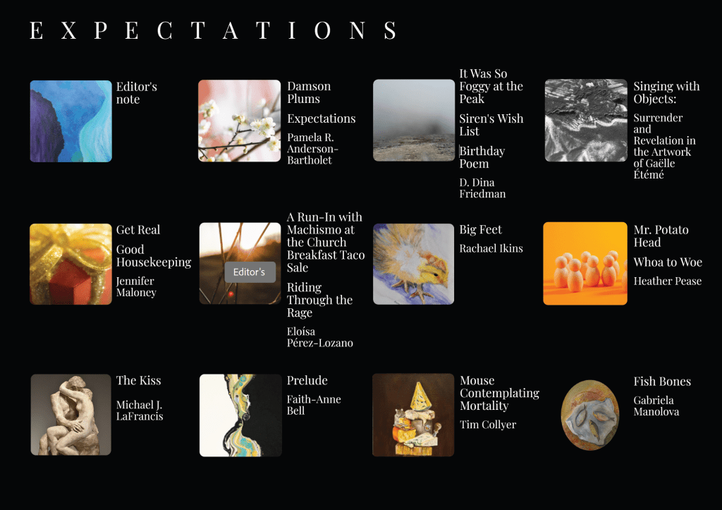 A collage of different book titles and authors organized under the heading 'Expectations.' Each title is accompanied by a small visual illustration.