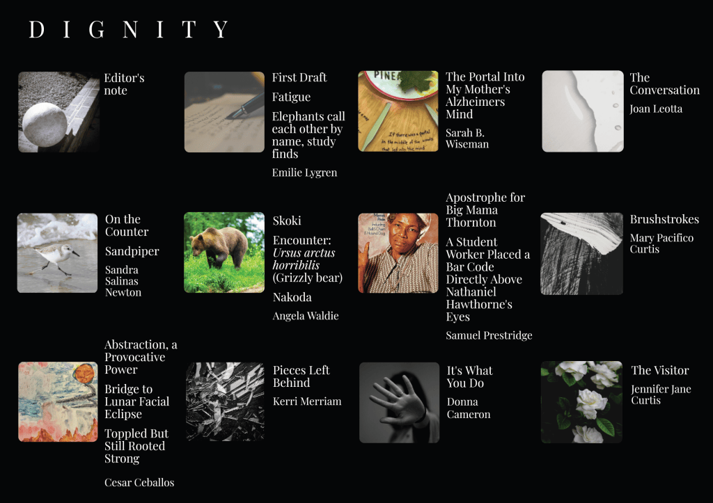 Image grid titled 'DIGNITY' featuring various articles and authors, with a mix of abstract and nature-themed visuals.