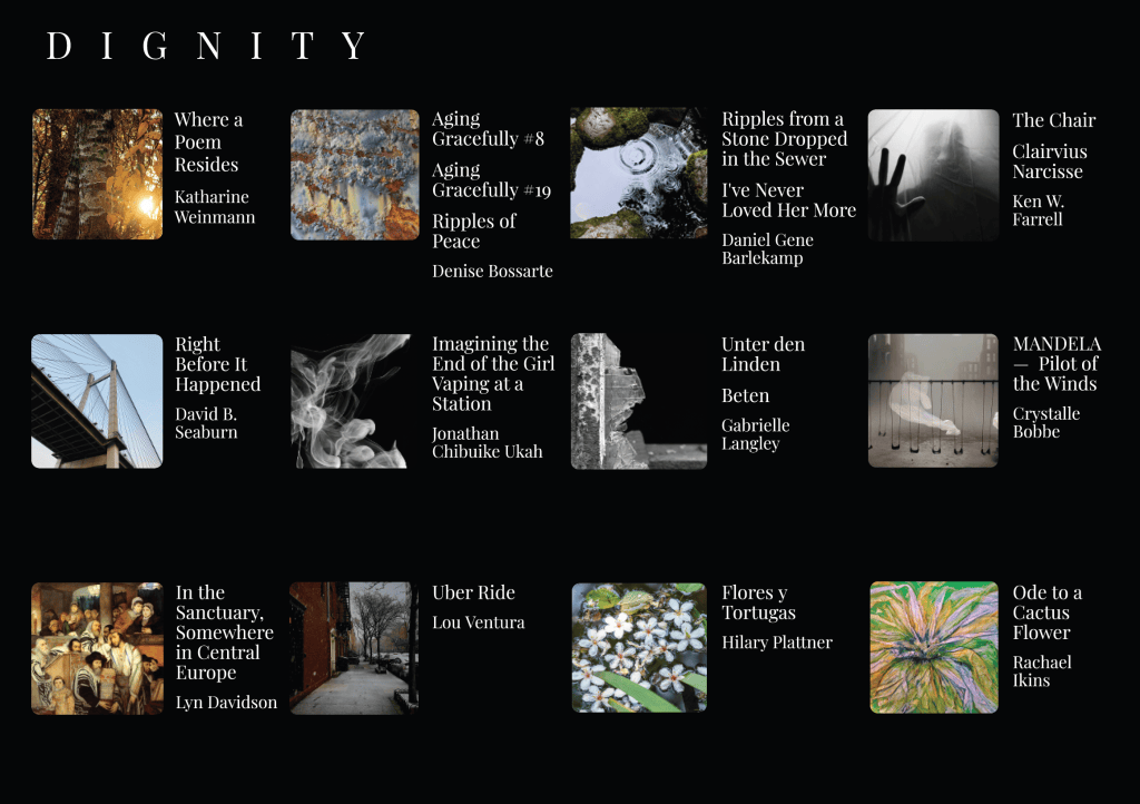 A collage of art pieces titled 'Dignity' featuring various images alongside the names of their respective artists.