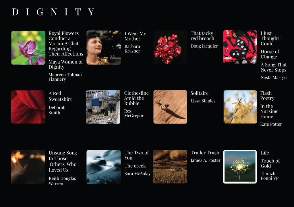 Image collage titled 'Dignity' featuring various artworks and titles including 'Royal Flowers Conduct a Morning Chat Regarding Their Affections', 'I Wear My Mother', and 'Flash Poetry In the Nursing Home'.